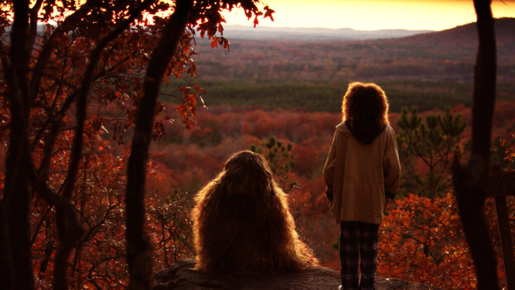 Two people look out over a fall colored forest landscape.