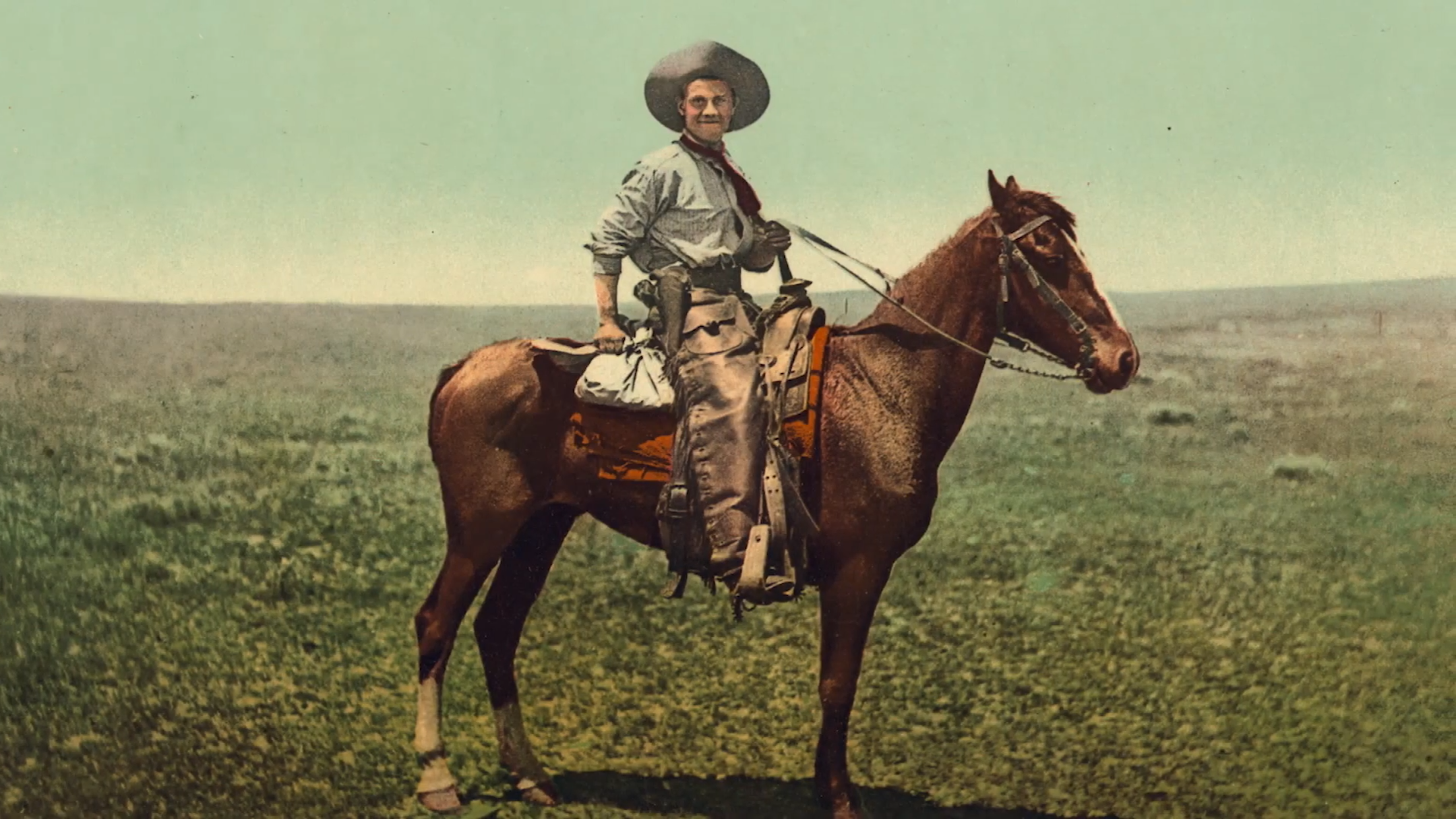 Person in cowboy clothes sits on horse, looking at camera.